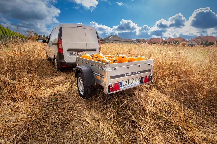 Petite remorque 150 x 106 cm Garden Trailer 150 KIPP Unitrailer