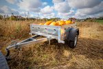 Petite remorque 150 x 106 cm Garden Trailer 150 KIPP Unitrailer